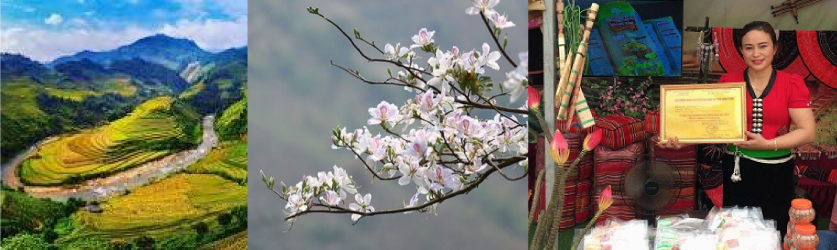 Thịt lợn sấy Lò Duyên - Tinh hoa ẩm thực núi rừng